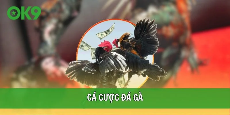 cá cược đá gà