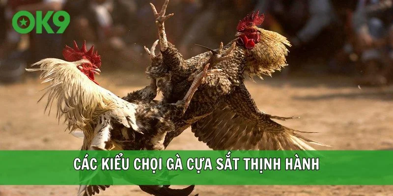 Các kiểu chọi gà cựa sắt thịnh hành