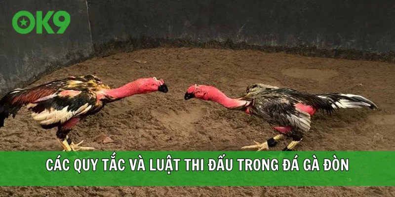 Các quy tắc và luật thi đấu trong chọi gà đòn