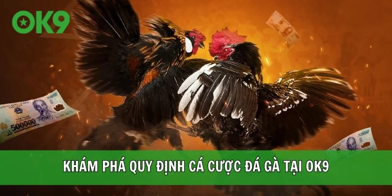 Khám phá quy định cá cược đá gà tại OK9