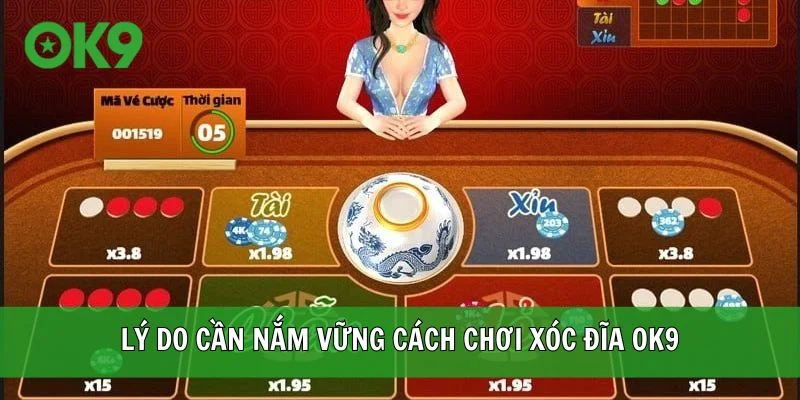Lý do cần nắm vững cách chơi Xóc Đĩa OK9