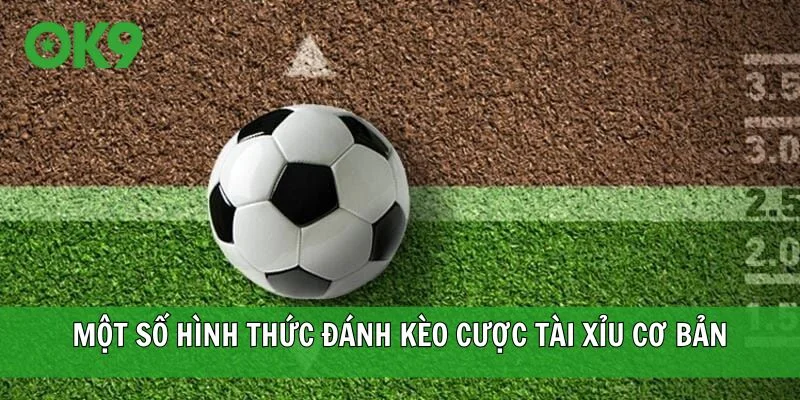 Một số hình thức đánh kèo cược Tài Xỉu cơ bản