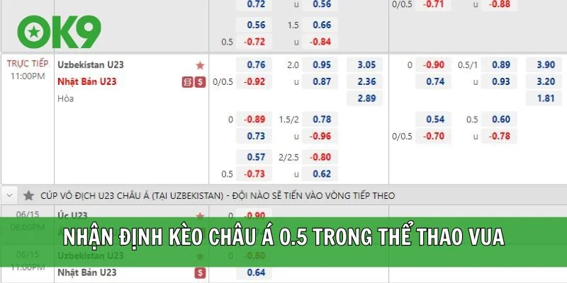 Nhận định kèo châu Á 0.5 trong thể thao vua