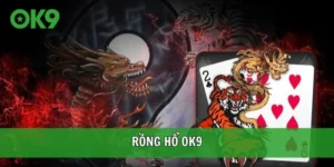 Rồng hổ ok9